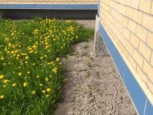 ленина 17а очистка отм. от растительности до 2.jpeg